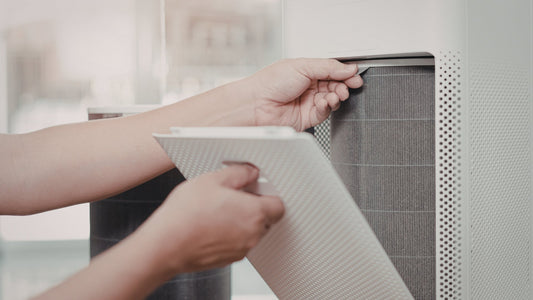 Ghidul Anti-Alergii: Cum purificatoarele elimină PM2.5 & Polenul