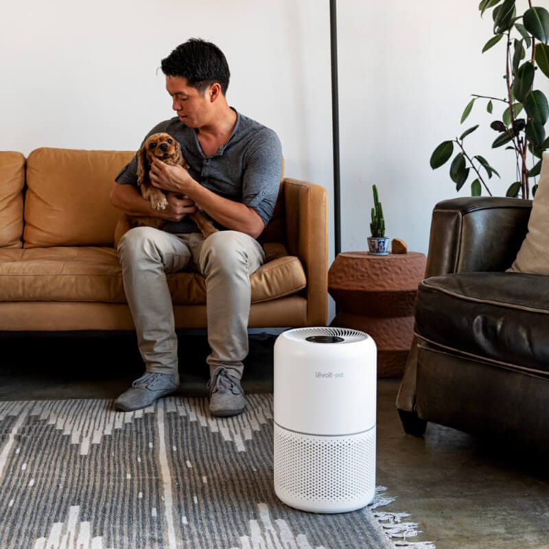 Purificator de aer LEVOIT Core P350 Pet Care, Filtru 3 în 1 True HEPA, Carbon Activ, Super Silent, Ozone Free, 3 trepte de viteză, Panou Comandă Touch Screen